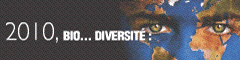 banniere_2010